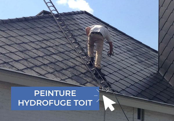 ARMORÉCLAT : artisan Couvreur dans le Morbihan (56) et l’Ille-et-Vilaine (35) : Travaux de couverture, zinguerie, faîtage, Nettoyage démoussage, peinture hydrofuge toiture, étanchéité toit plat et terrasse, isolation toit et combles, ravalement peinture façade, nettoyage des extérieurs et petite maçonnerie dans le Morbihan (56) et l’Ille-et-Vilaine (35)